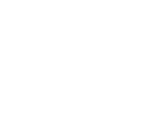 Cirurgias e Procedimentos Especiais